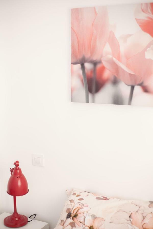 Apartamentos El Paraiso โลโกรโญ ภายนอก รูปภาพ